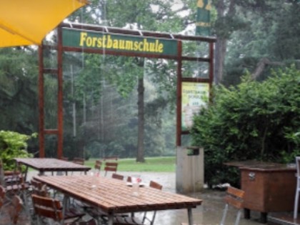 Foto: Forstbaumschule