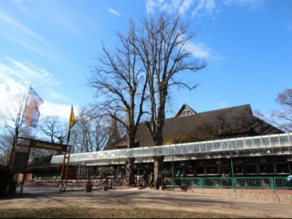 Foto: Forstbaumschule